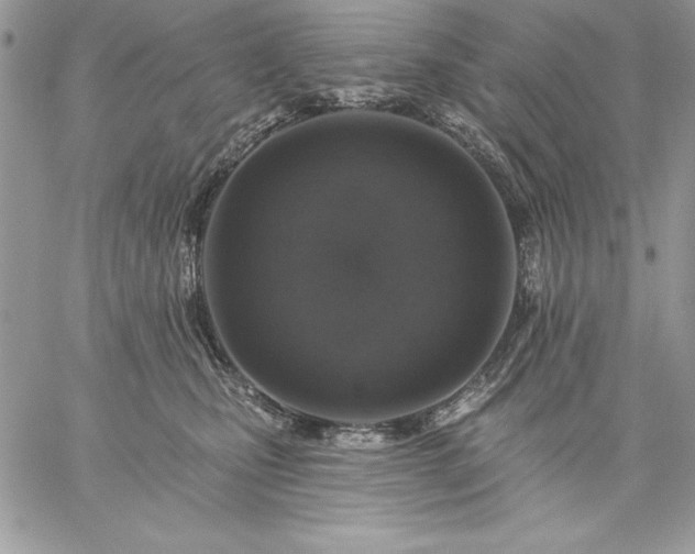 X0000059080471200510172034