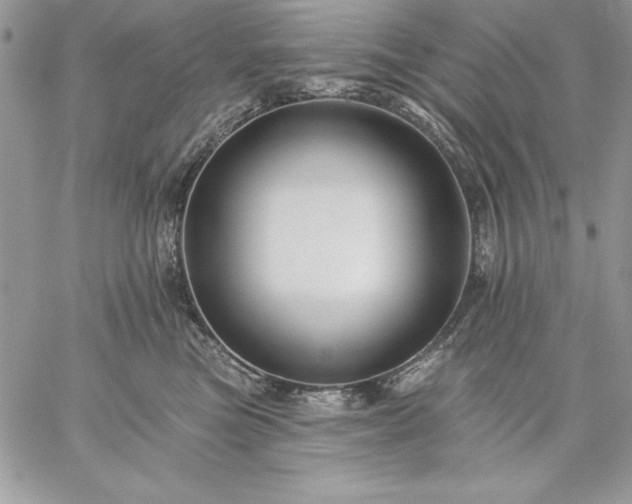 X0000059080473200510172034