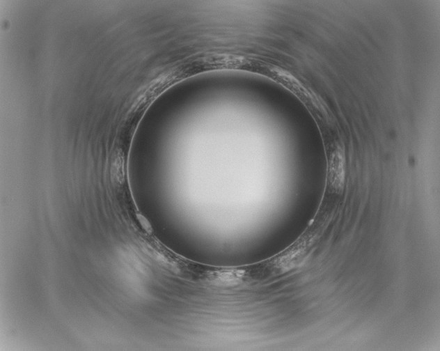 X0000059080474200510172034