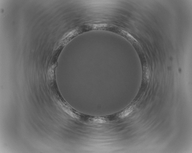 X0000059080475200510172034