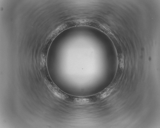 X0000059080476200510172034