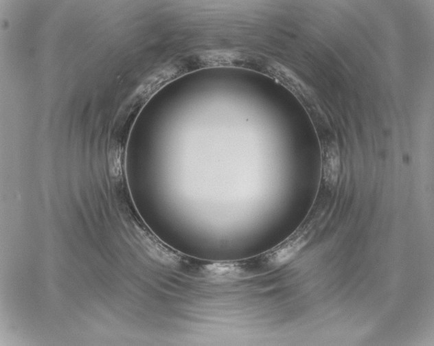 X0000059080477200510172034