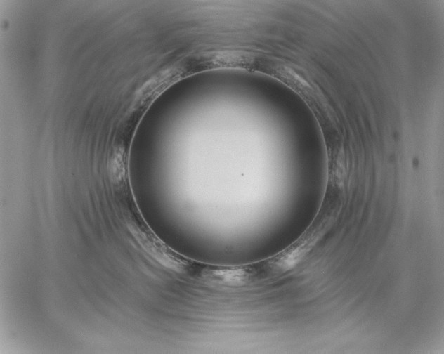 X0000059080478200510172034