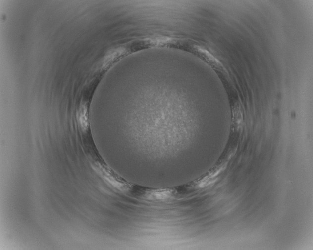 X0000059080479200510172034