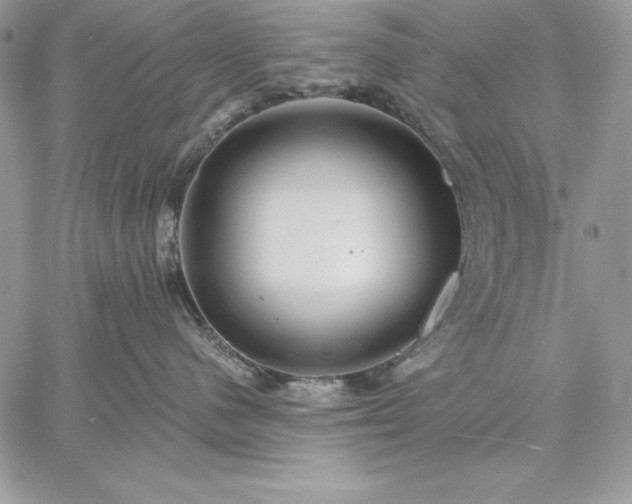 X0000059080480200510172034