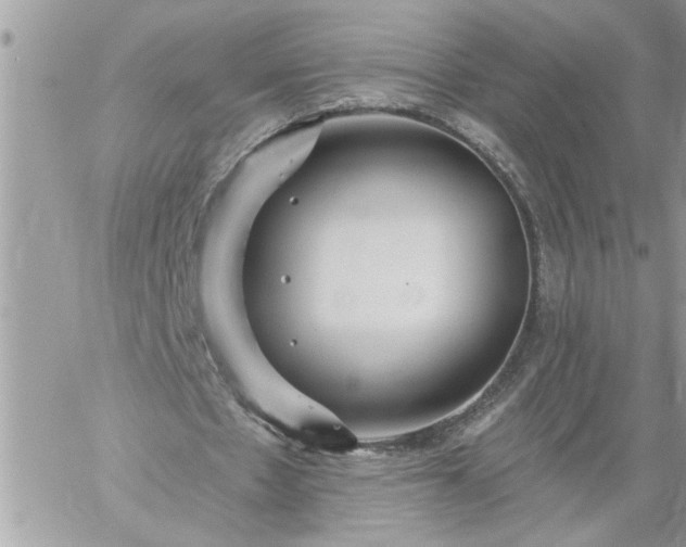 X0000059080481200510172033