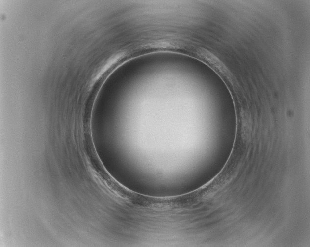 X0000059080482200510172033