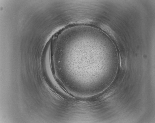 X0000059080483200510172033