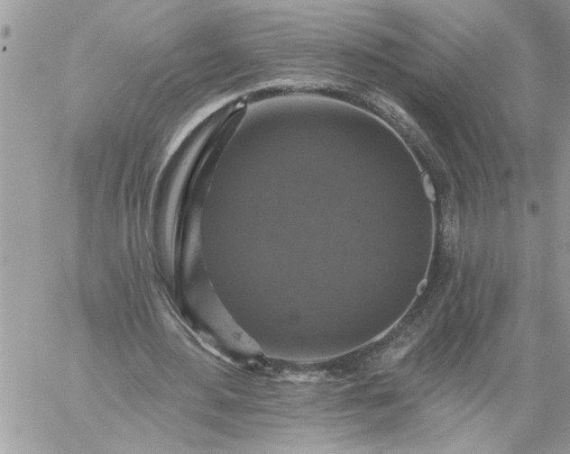 X0000059080484200510172033