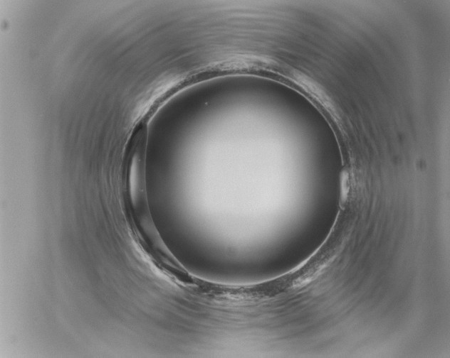 X0000059080485200510172033