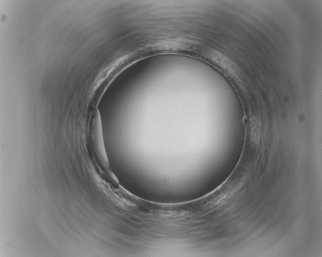 X0000059080486200510172033