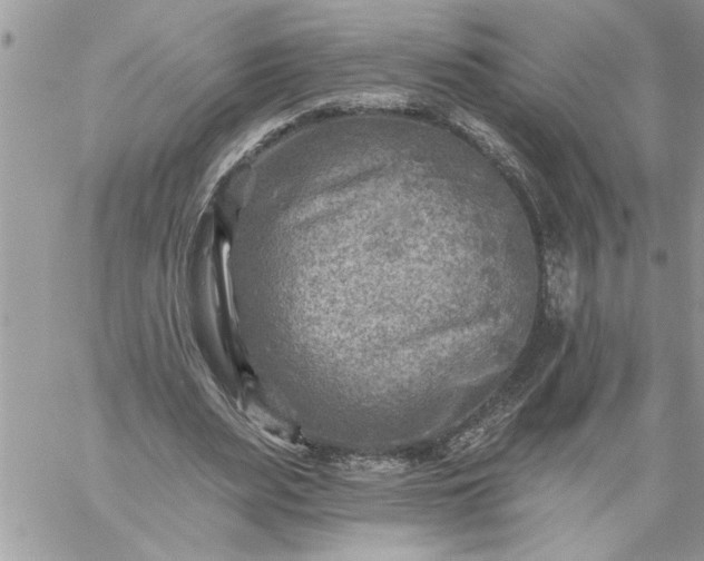 X0000059080487200510172033