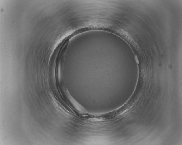 X0000059080488200510172033