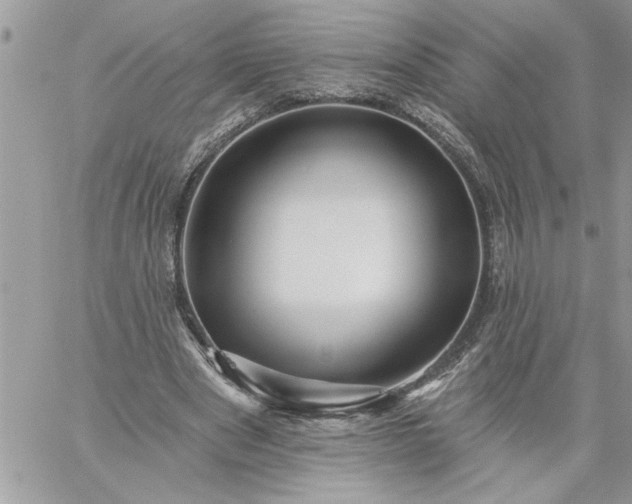 X0000059080489200510172033