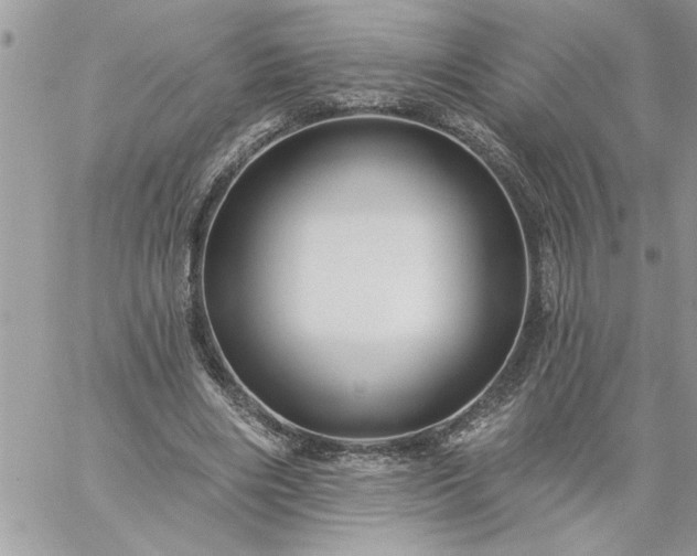 X0000059080490200510172033