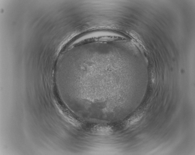 X0000059080491200510172033