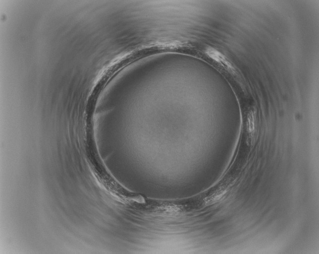 X0000059080492200510172033