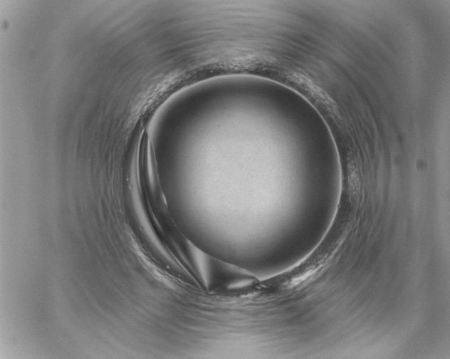 X0000059080493200510172033