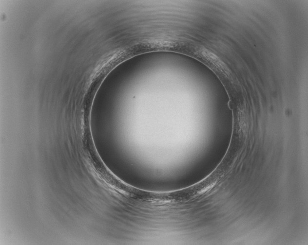 X0000059080494200510172033