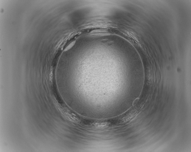 X0000059080495200510172033