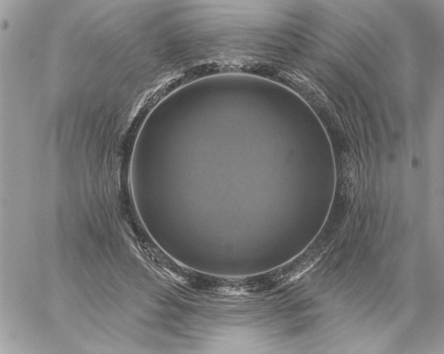 X0000059080496200510172033