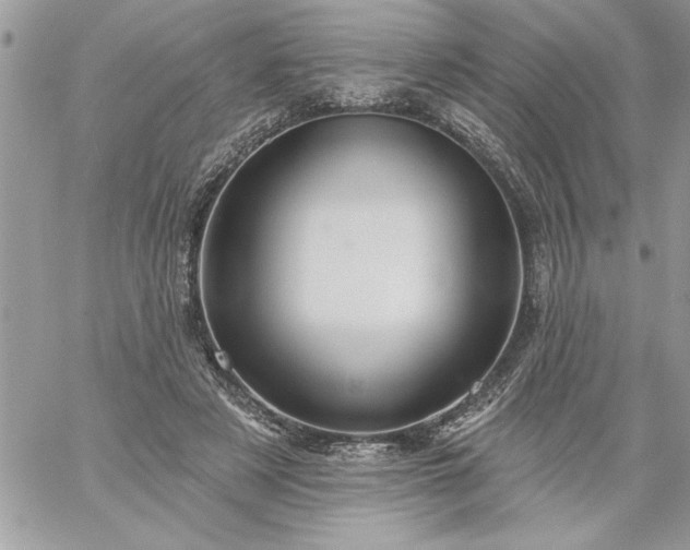 X0000059080497200510172033