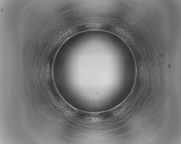 X0000059080498200510172033