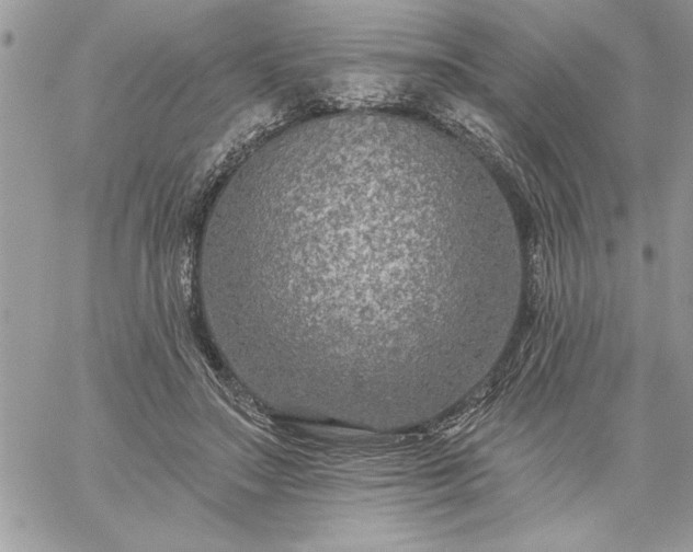 X0000059080499200510172033