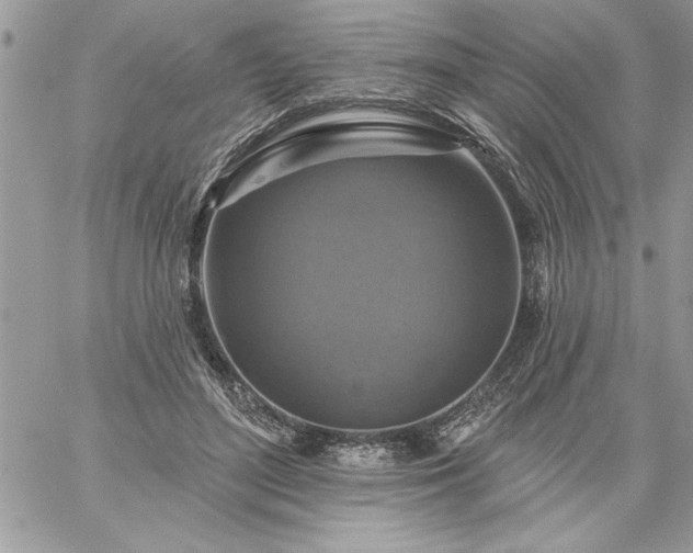 X0000059080500200510172033