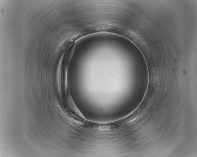 X0000059080501200510172033