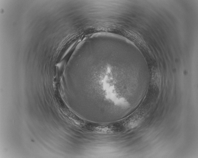 X0000059080502200510172033