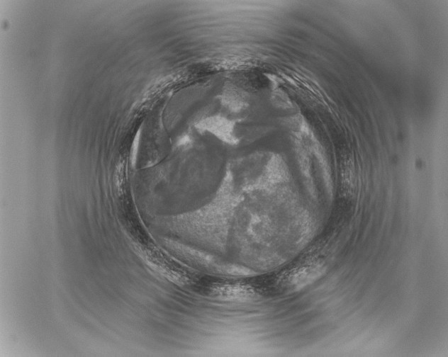 X0000059080503200510172033