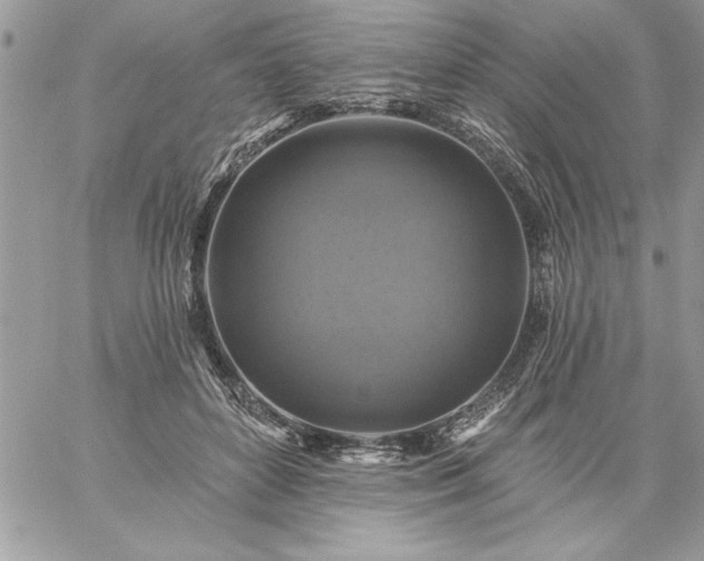 X0000059080504200510172033