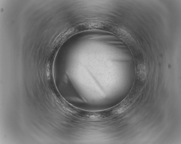 X0000059080506200510172033