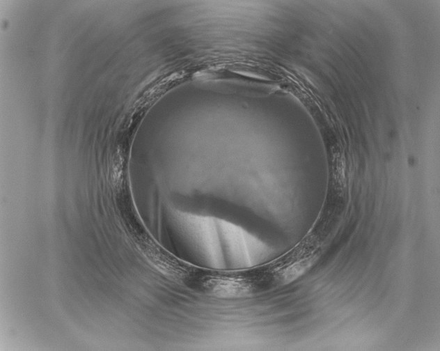 X0000059080507200510172033