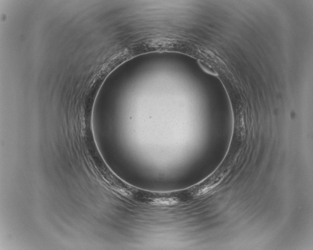 X0000059080508200510172033