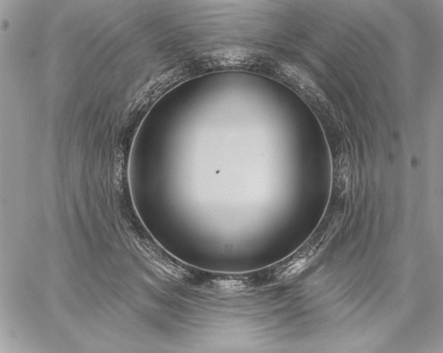 X0000059080509200510172033