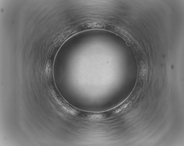 X0000059080513200510172033