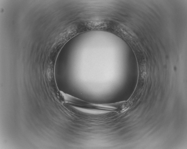 X0000059080515200510172033