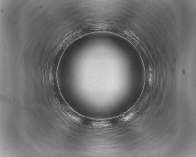 X0000059080516200510172033