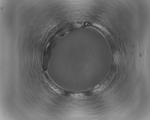 X0000059080517200510172033