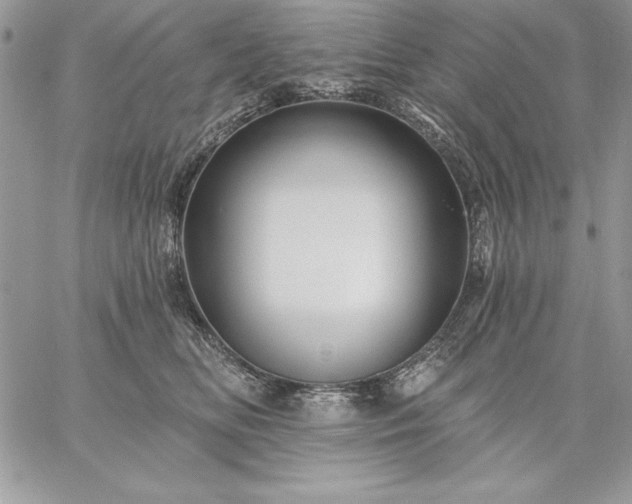 X0000059080518200510172033