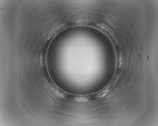 X0000059080520200510172033