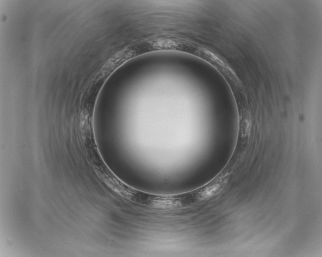 X0000059080521200510172033