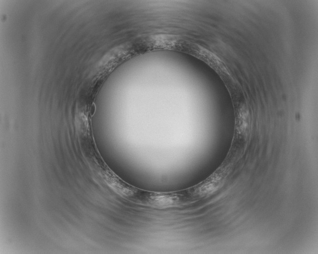 X0000059080522200510172033