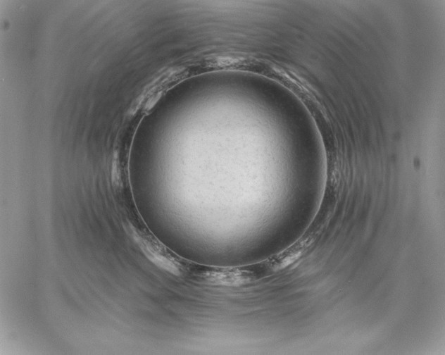 X0000059080524200510172033