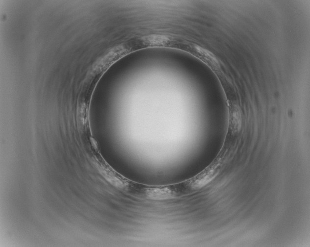 X0000059080525200510172033