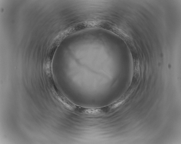 X0000059080526200510172033