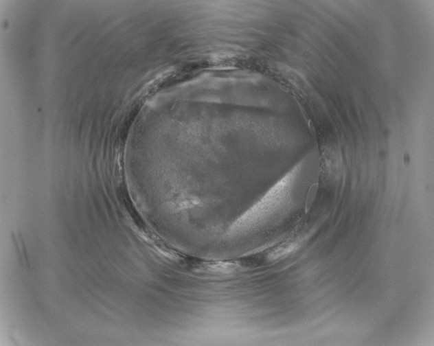 X0000059080527200510172033