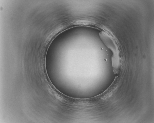 X0000059080529200510172032